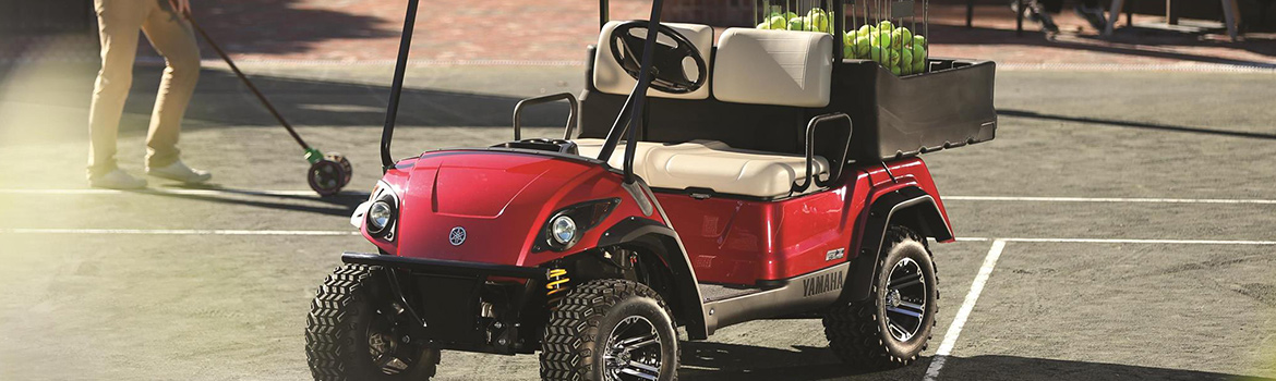 2017 Yamaha Adventure Sport Golf Cart for sale in Day Motorsports, Inc, WaKeeney, Kansas